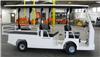 Taylor-Dunn Custom Vehicle Model 174486