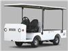Taylor-Dunn Custom Vehicle Model 195751